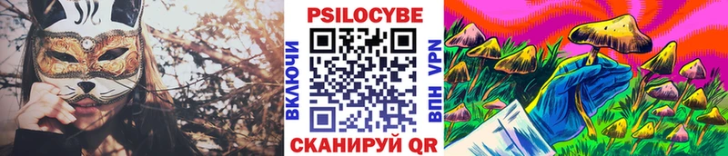 Галлюциногенные грибы прущие грибы  что такое   KRAKEN ONION  Алатырь 